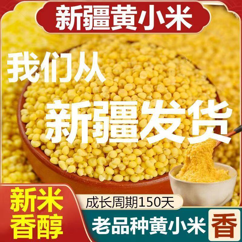 新疆沙漠黄小米5斤农家黄小米黄金米新疆小米辅食老品种小黄米