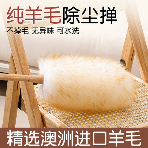 羊毛静电除尘掸客厅清洁打扫神器