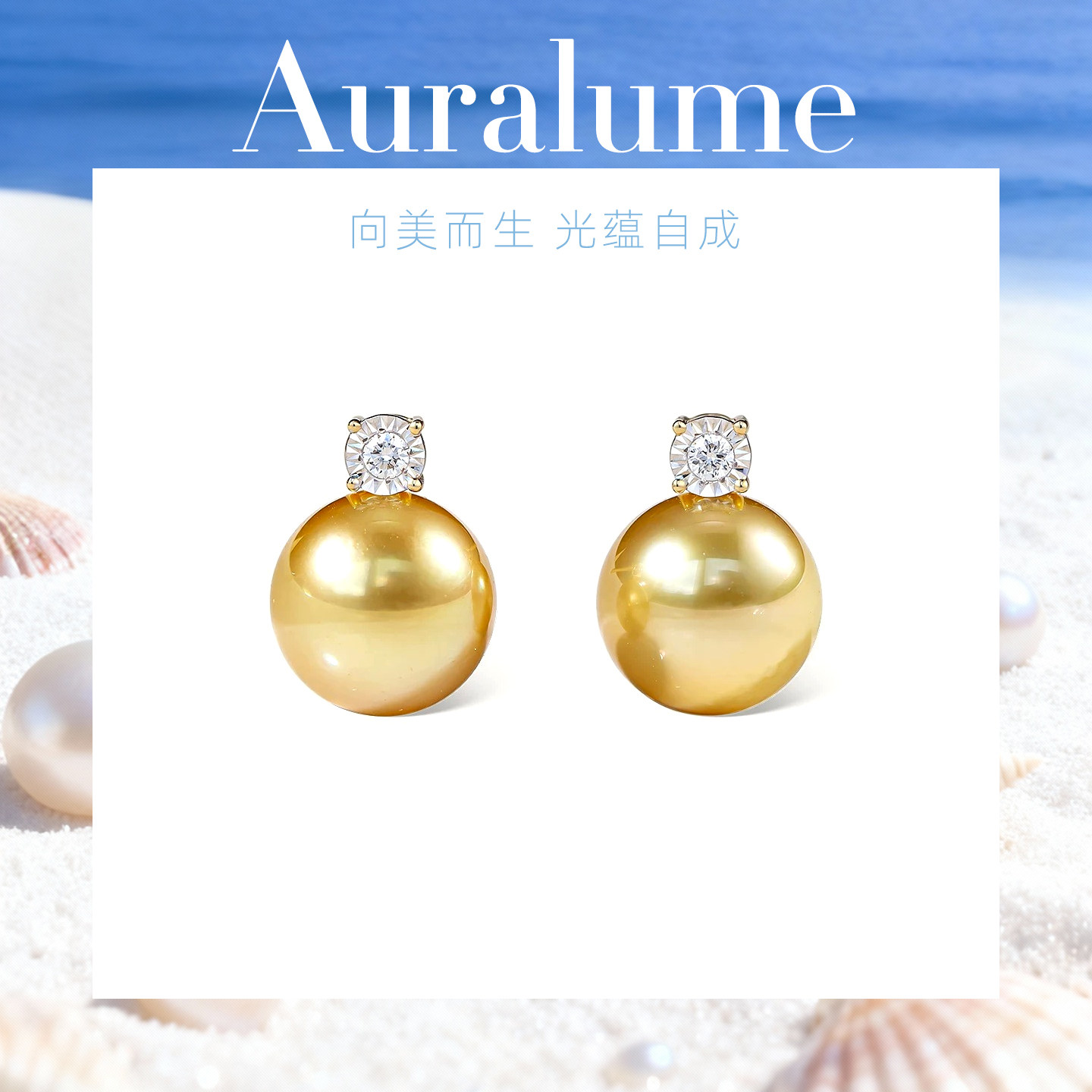 12-13mm海水真珍珠戴妃款珍珠耳钉千金风高级感钻石耳环金色耳饰