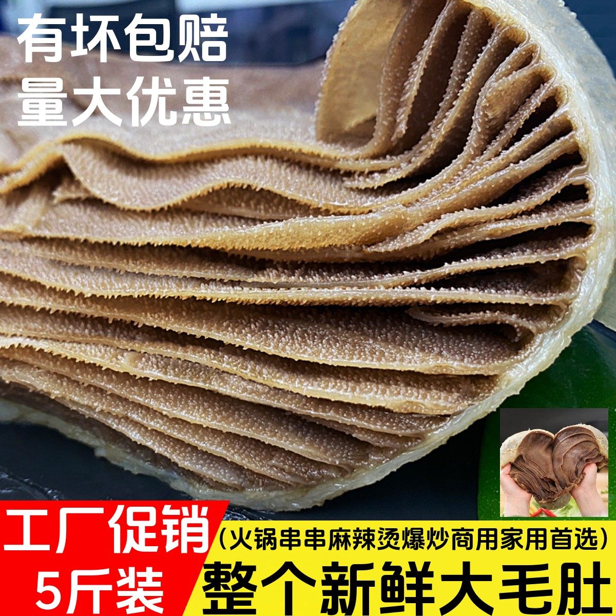 毛肚大叶片新鲜重庆火锅食材整块带底板毛肚5斤牛百叶冷冻千层肚