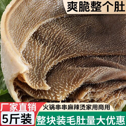 整块新鲜毛肚工厂直营脆爽鲜嫩