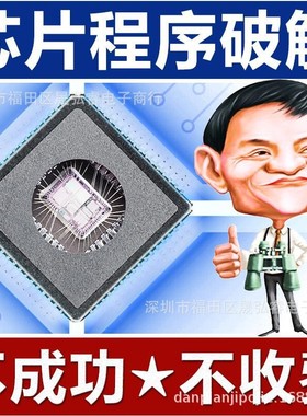 DS1955加密狗破解DS19635单片机解码DS1963LIC打磨型号鉴定DS2436