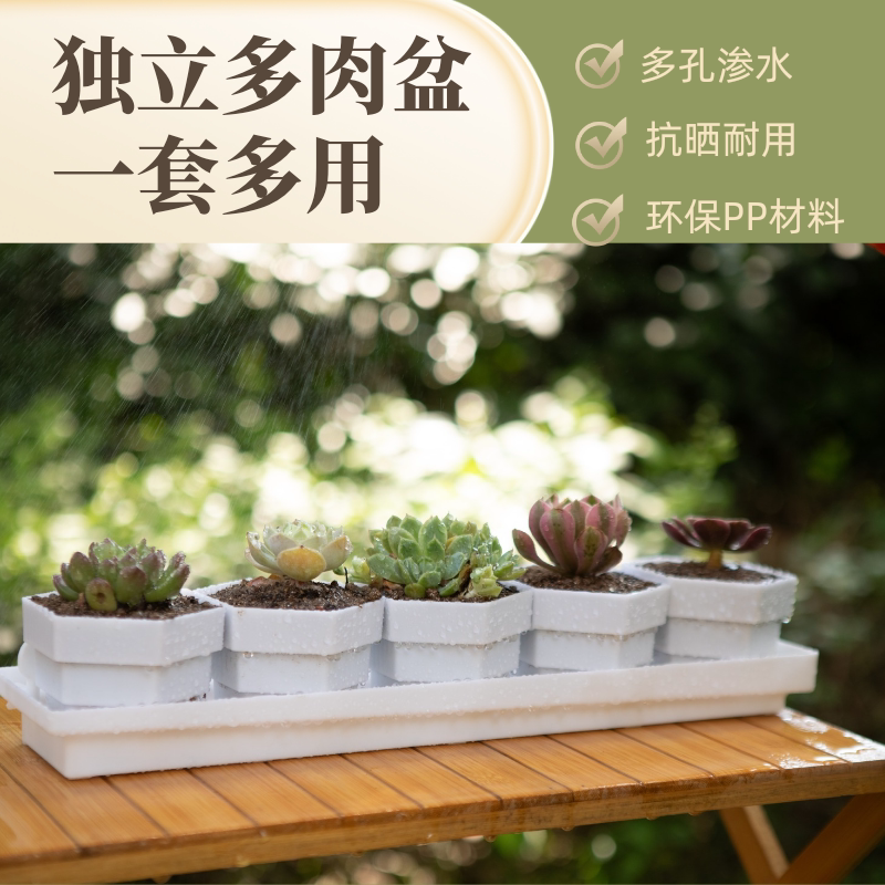 控根多肉花盆长条款可排水