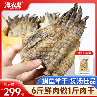 暹罗鳄鱼掌干货500g海农岛鳄鱼干鳄鱼肉干广东煲汤煲粥食材送汤包