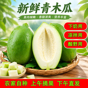 广西青木瓜新鲜农家自种番木瓜产妇下奶新鲜生木瓜腌酸凉拌沙拉