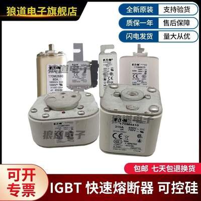 原装型号齐全现货170M4951 170M4952 170M4953巴斯曼熔断器