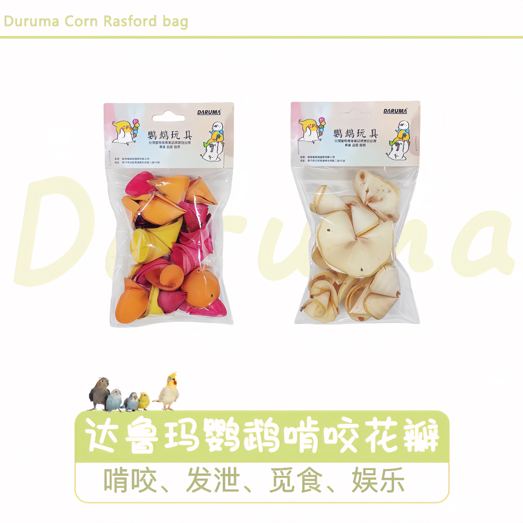 台湾达鲁玛鹦鹉啃咬花瓣