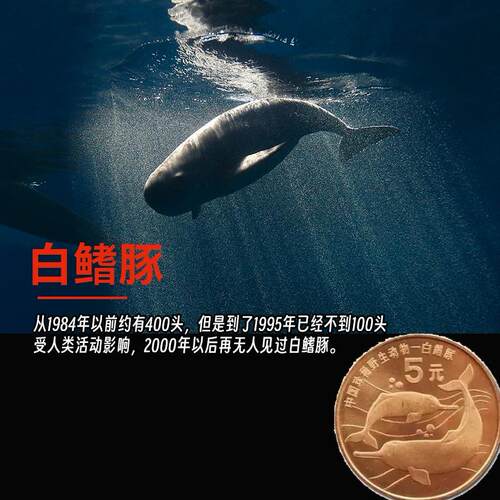 珍稀白鳍豚华南虎纪念币面值10元
