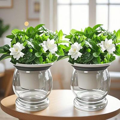 栀子花盆栽开花浓香型花卉植物客厅室内阳台驱蚊小绿植四季好养活