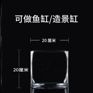vase landing plum room 极速Plum flower large floower insert