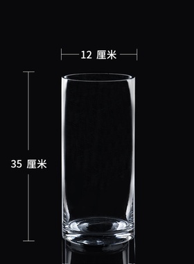 Plum plum floower vase large insert flower room landing orn