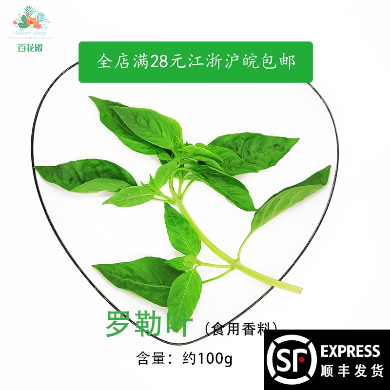 新鲜罗勒叶 非九层塔 披萨草甜欧罗100g 食用西餐香料 水产肉类/新鲜蔬果/熟食 其它 原图主图