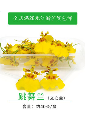 跳舞兰金蝶兰新鲜采摘食用花酒店西餐摆盘装饰鲜花舞女兰文心兰