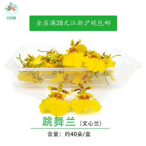 跳舞兰金蝶兰新鲜采摘食用花酒店西餐摆盘装饰鲜花舞女兰文心兰