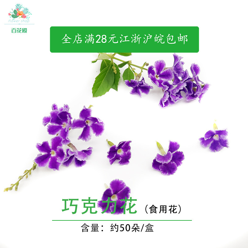 新鲜巧克力花蕾丝金露紫梅非三色堇食用花50烘培西餐酒店摆盘装饰