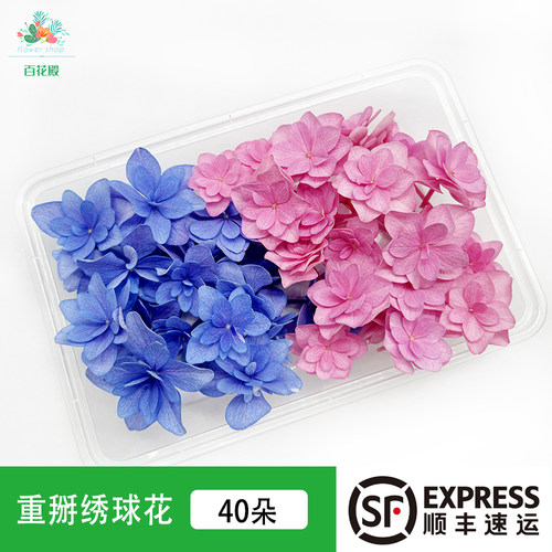 新鲜绣球花重瓣绣球花蓝色粉色酒店饭店西餐冷艺摆盘装饰花草