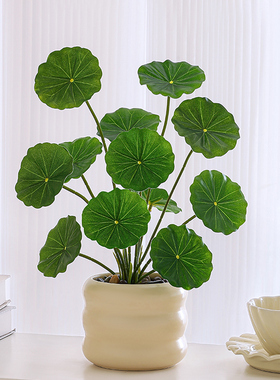 仿真绿植摆件盆栽造景装饰