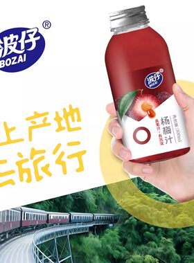 波仔杨梅汁蜜桔汁双柚汁300ml