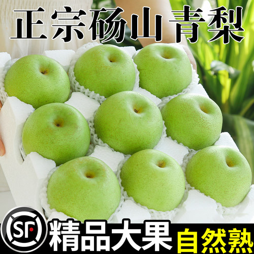 正宗砀山梨青梨酥梨当季水果
