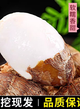 【热卖推荐】正宗高山牛奶小芋头