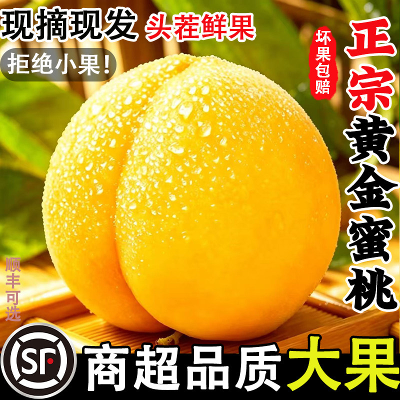 黄桃新鲜当季水果现摘桃子整箱毛桃子脆甜黄金蜜桃蒙阴黄心黄肉桃