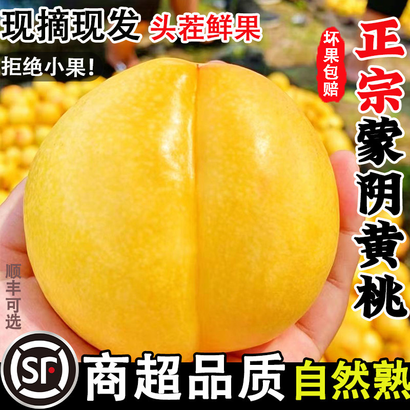 黄油桃新鲜水果当季现摘黄金油桃山东蒙阴蜜桃黄桃脆桃黄肉桃子