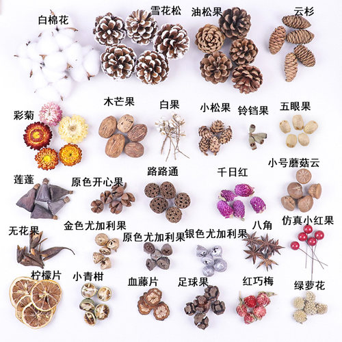 包邮天然果实松果幼儿园环创材料包拍摄道具手工diy天然干果套装