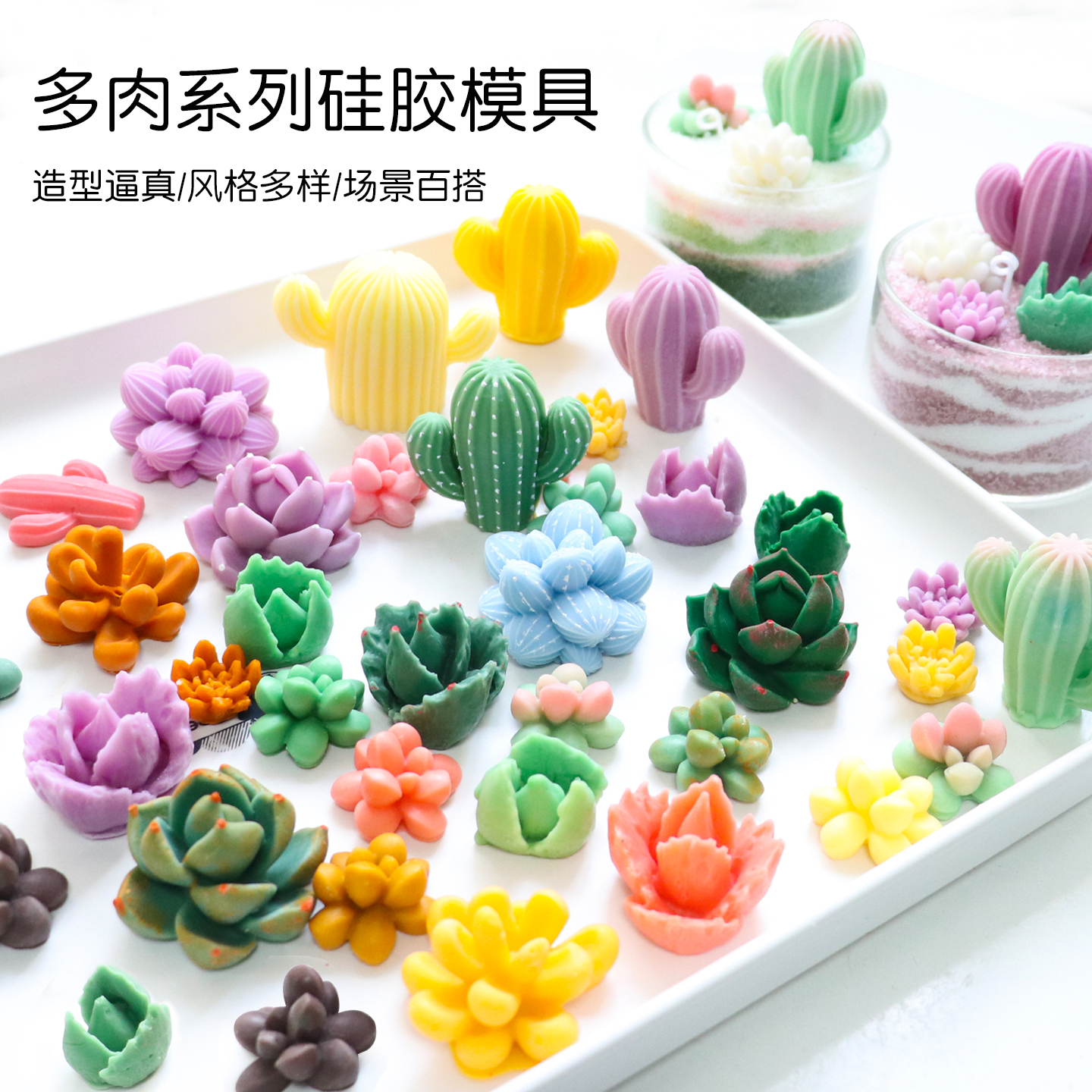 巧克力翻糖石膏多肉仙人掌模具