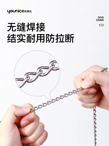 Туяние собаки с собаками из нержавеющей стали, ходячие собаки, чтобы связать крышку шеи собаки Маленький, средний крупный фонд плюшевого коко.