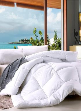 棉被冬化纤冬被 warm quilt winter bed comforter duvet blanket