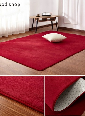 160x200cm Short-haired coral velvet carpet living room rug