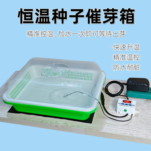 种子发芽盒绿豆催芽豆芽