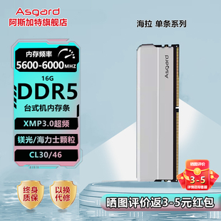 阿斯加特海拉DDR5台式机内存条16G 5600/6000海力士镁光单条