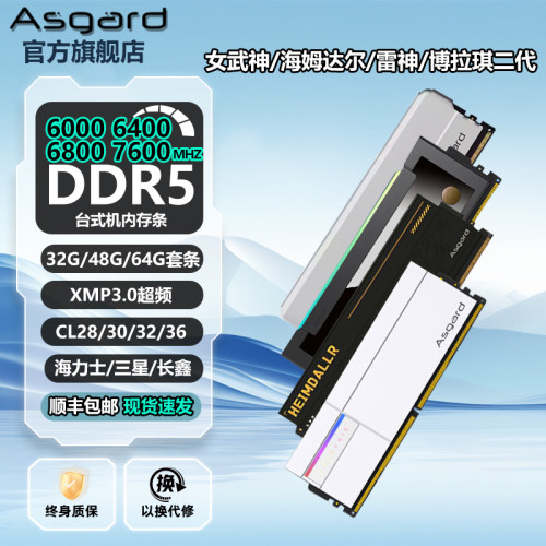 阿斯加特女武神ddr5台式机内存条