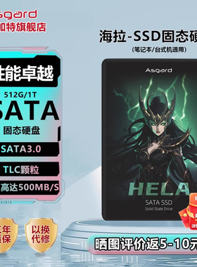 阿斯加特AS SATA3.0 250G 500G 512G 1T台式电脑海拉固态硬盘ssd