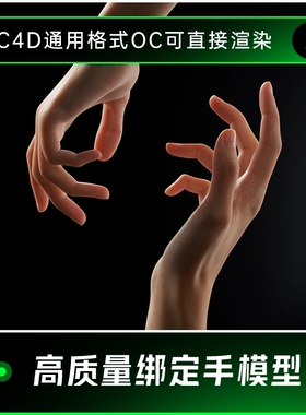 C4D高质量写实带骨骼绑定手部动画OC渲染建模三维工程3D模型