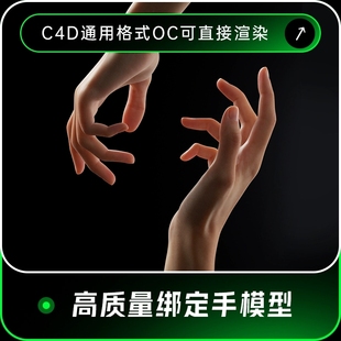 C4D高质量写实带骨骼绑定手部动画OC渲染建模三维工程3D模型