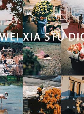 capture one样式 电影色彩美学胶卷胶片色调滤镜C1飞思预设合集