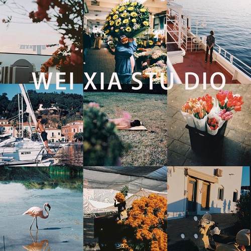 capture one样式 电影色彩美学胶卷胶片色调滤镜C1飞思预设合集