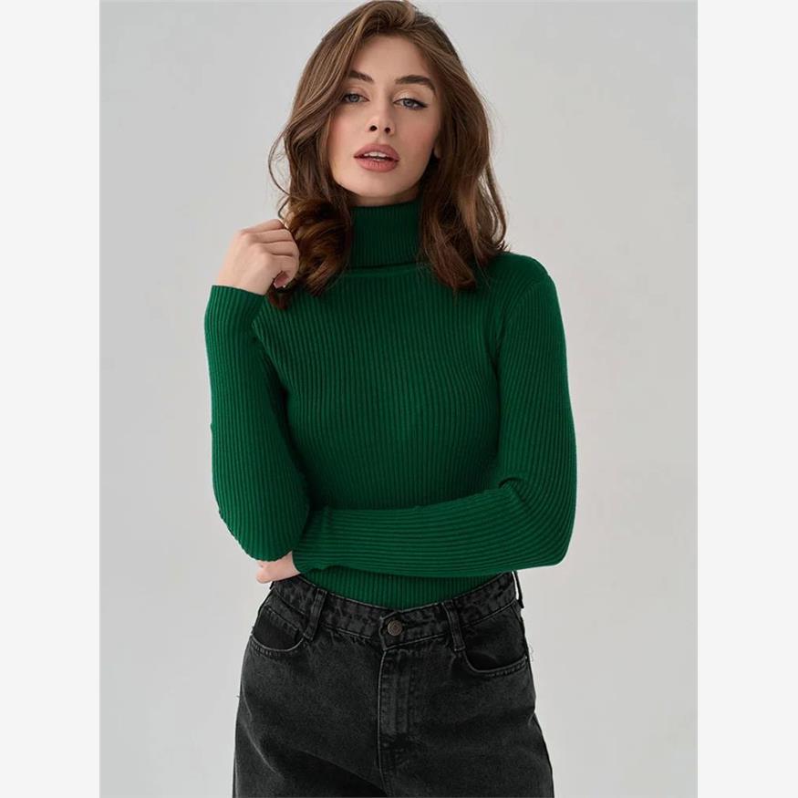 Women's Winter Sweaters Basic Pullover Turtle Neck