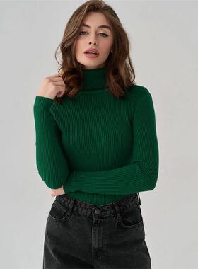 Women's Winter Sweaters Basic Pullover Turtle Neck