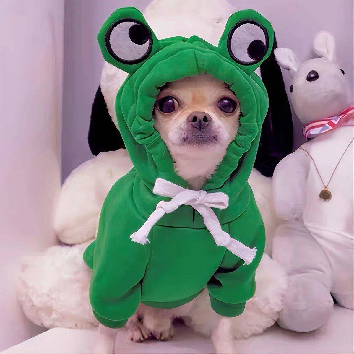 Autumn Winter Dog Hoodies for Small Dogs Cat Cute Frog Print