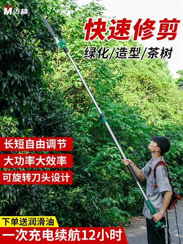 国日本进口电动高枝修剪机充电式园林绿化苗木高空修枝剪加长无德