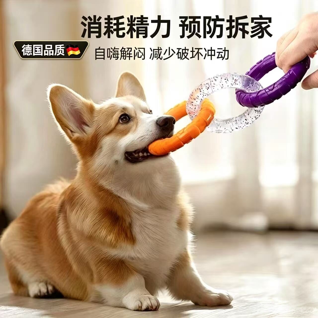 德国狗狗玩具耐咬中小型犬柯基泰迪解闷神器宠物互动咬胶环磨牙棒