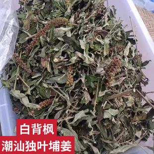 白背枫晒干驳骨丹 潮汕独叶埔姜 青荆 布荆 自晒枝叶干品中药材
