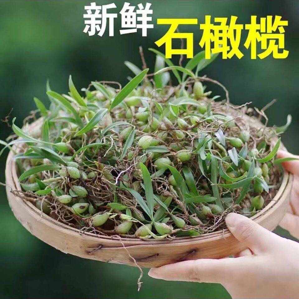 新鲜双叶小果石橄榄草苗石仙桃盆摘煲汤炖汤500g包邮单叶现货现发