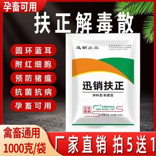 扶正解毒散兽用猪用预防药净化圆环蓝耳抗病毒圆蓝解毒包母猪保健