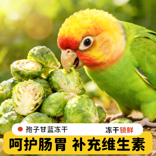 鹦鹉孢子甘蓝水果蔬菜冻干辅零食料奖励牡丹虎皮玄凤鸟粮食饲啃咬
