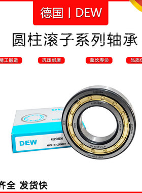 德国DEW进口圆柱滚子轴承NJ209 NJ210 NJ211 NJ212 NJ213 NJ214EM