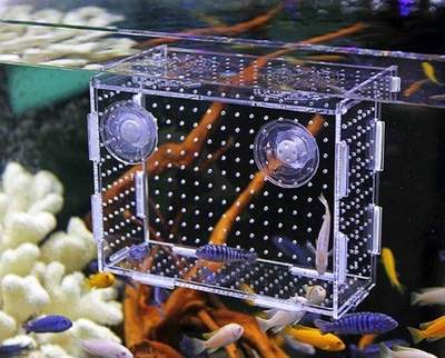 小鱼隔离网分离器斗鱼盒大号挡板孵化盒亚克繁殖分隔箱鱼缸箱吸盘